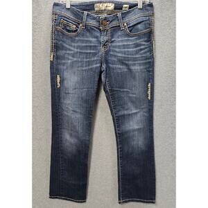 BKE Sabrina Jeans Size 29